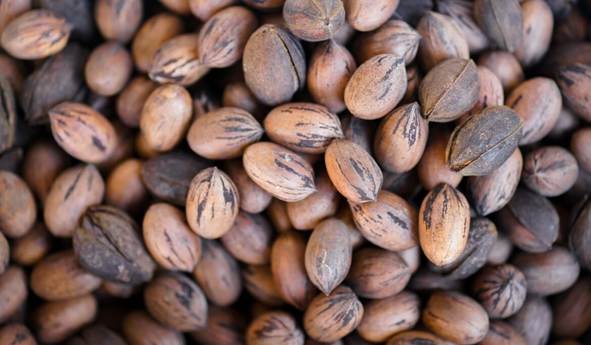 top-view-of-pecans-2023-02-03-22-00-18-utc-min-scaled